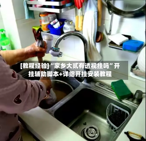 [教程经验]“家乡大贰有透视挂吗”开挂辅助脚本+详细开挂安装教程-第1张图片