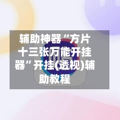 辅助神器“方片十三张万能开挂器”开挂(透视)辅助教程-第2张图片
