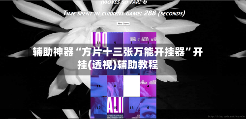 辅助神器“方片十三张万能开挂器”开挂(透视)辅助教程-第1张图片