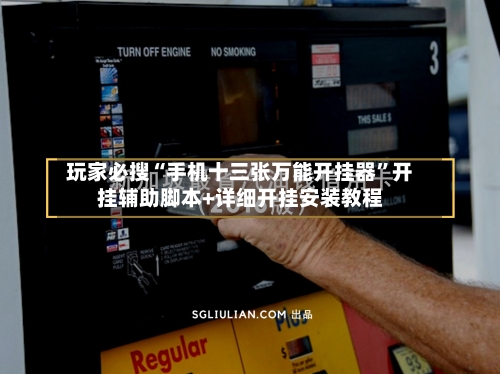 玩家必搜“手机十三张万能开挂器	”开挂辅助脚本+详细开挂安装教程-第2张图片