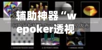 辅助神器“wepoker透视辅助插件”(透视)开挂辅助脚本+详细开挂安装教程-第1张图片