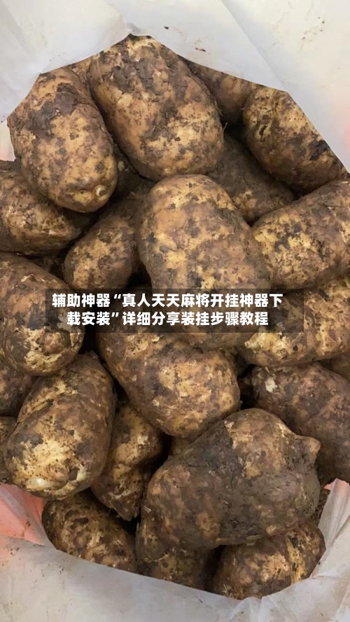 辅助神器“真人天天麻将开挂神器下载安装	”详细分享装挂步骤教程-第1张图片