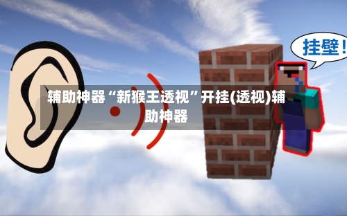 辅助神器“新猴王透视”开挂(透视)辅助神器-第1张图片