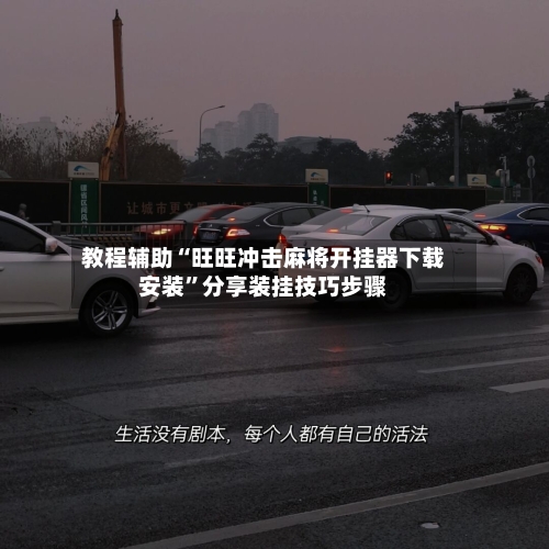 教程辅助“旺旺冲击麻将开挂器下载安装”分享装挂技巧步骤-第2张图片