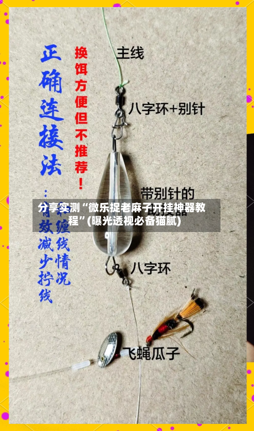 分享实测“微乐捉老麻子开挂神器教程”(曝光透视必备猫腻)-第1张图片
