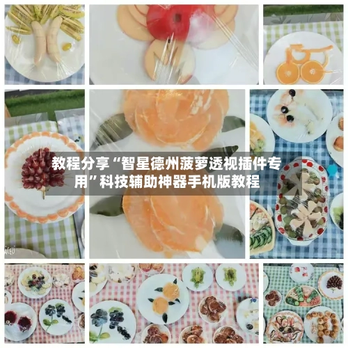 教程分享“智星德州菠萝透视插件专用”科技辅助神器手机版教程-第1张图片