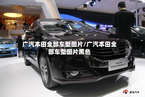 广汽本田全部车型图片/广汽本田全部车型图片黑色-第1张图片