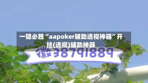 一键必胜“aapoker辅助透视神器”开挂(透视)辅助神器-第1张图片