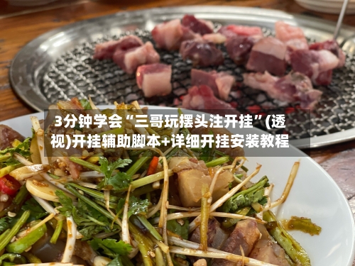 3分钟学会“三哥玩摆头注开挂”(透视)开挂辅助脚本+详细开挂安装教程-第1张图片