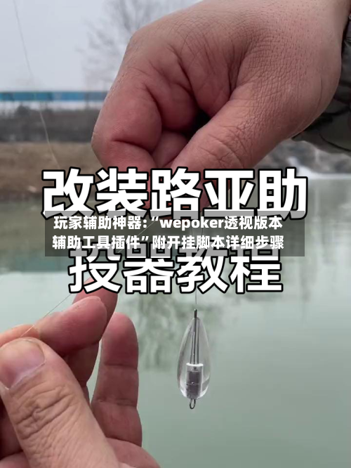 玩家辅助神器:“wepoker透视版本辅助工具插件”附开挂脚本详细步骤-第1张图片