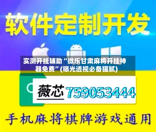 实测开挂辅助“微乐甘肃麻将开挂神器免费”(曝光透视必备猫腻)-第1张图片
