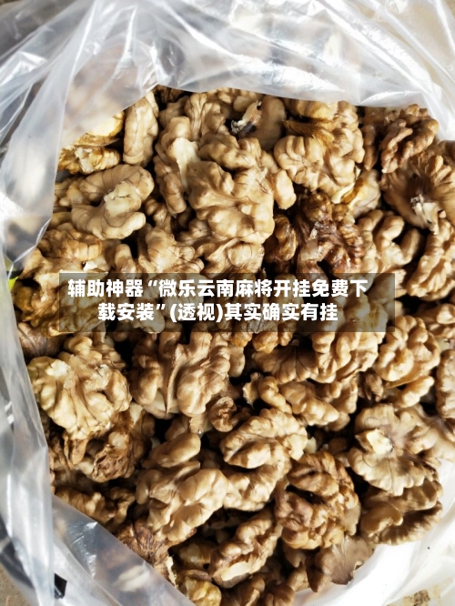 辅助神器“微乐云南麻将开挂免费下载安装”(透视)其实确实有挂-第1张图片