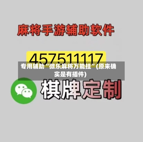 专用辅助“微乐麻将万能挂”(原来确实是有插件)-第1张图片