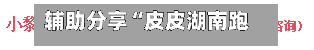 辅助分享“皮皮湖南跑胡子确实真的有挂”科技辅助神器手机版教程-第1张图片