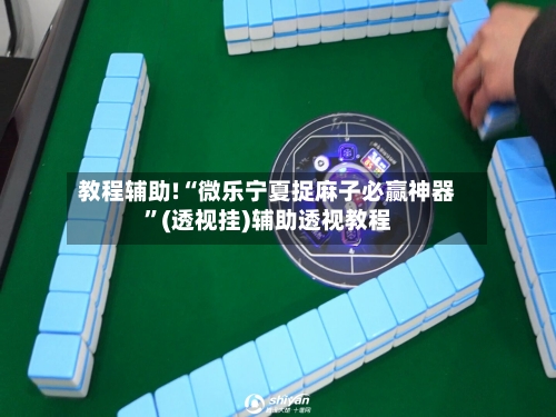 教程辅助!“微乐宁夏捉麻子必赢神器	”(透视挂)辅助透视教程-第1张图片