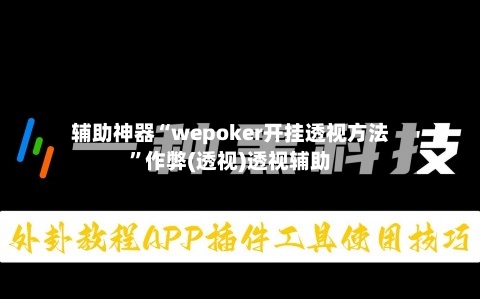 辅助神器“wepoker开挂透视方法	”作弊(透视)透视辅助-第1张图片