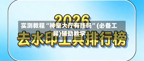 实测教程“神皇大厅有挂吗”(必备工具)辅助教学-第1张图片
