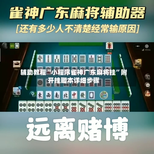 辅助教程“小程序雀神广东麻将挂”附开挂脚本详细步骤-第1张图片