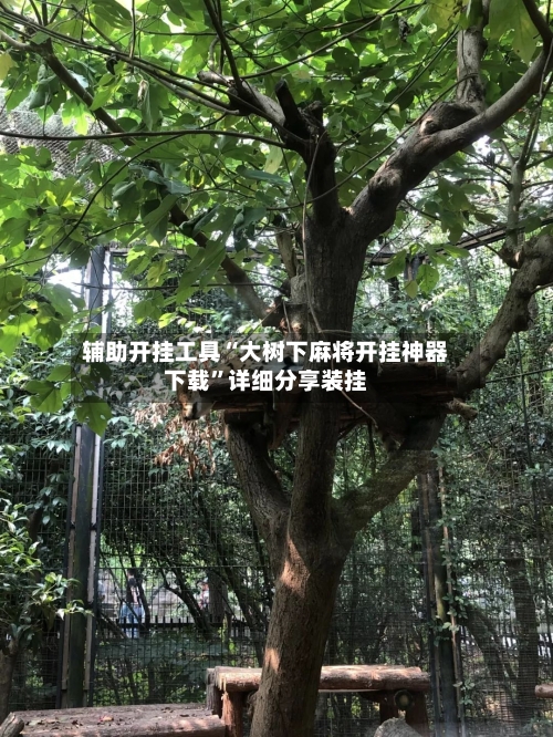 辅助开挂工具“大树下麻将开挂神器下载	”详细分享装挂-第1张图片