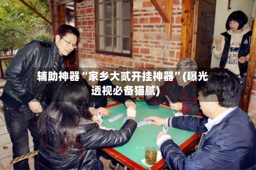 辅助神器“家乡大贰开挂神器”(曝光透视必备猫腻)-第1张图片