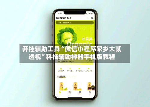 开挂辅助工具“微信小程序家乡大贰透视”科技辅助神器手机版教程-第1张图片