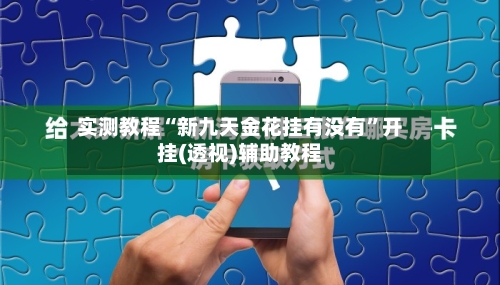 实测教程“新九天金花挂有没有”开挂(透视)辅助教程-第1张图片