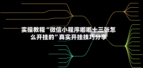 实操教程“微信小程序嘟嘟十三张怎么开挂的	”真实开挂技巧分享-第1张图片