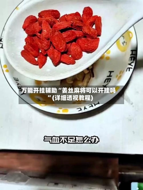 万能开挂辅助“姜丝麻将可以开挂吗”(详细透视教程)-第1张图片