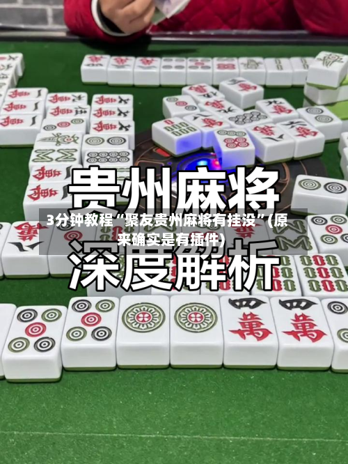 3分钟教程“聚友贵州麻将有挂没”(原来确实是有插件)-第1张图片