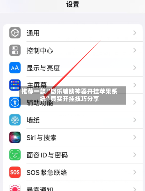 推荐一款“微乐辅助神器开挂苹果系统”真实开挂技巧分享-第1张图片