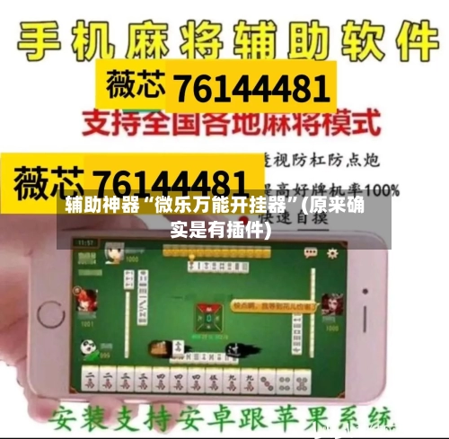 辅助神器“微乐万能开挂器”(原来确实是有插件)-第1张图片