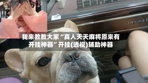 我来教教大家“真人天天麻将原来有开挂神器”开挂(透视)辅助神器-第1张图片