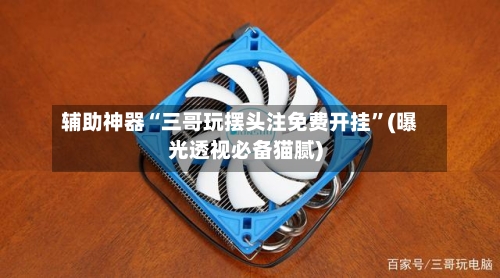 辅助神器“三哥玩摆头注免费开挂	”(曝光透视必备猫腻)-第1张图片