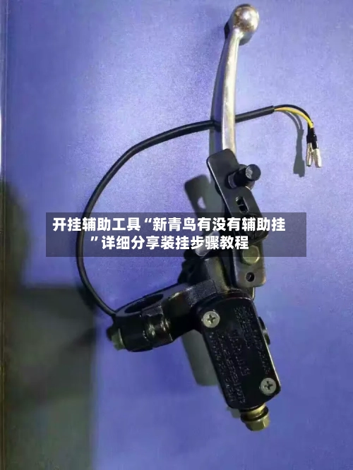 开挂辅助工具“新青鸟有没有辅助挂	”详细分享装挂步骤教程-第1张图片