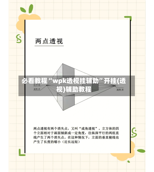 必看教程“wpk透视挂辅助	”开挂(透视)辅助教程-第1张图片