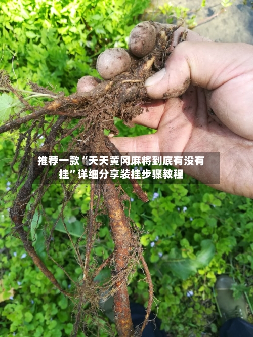 推荐一款“天天黄冈麻将到底有没有挂”详细分享装挂步骤教程-第1张图片