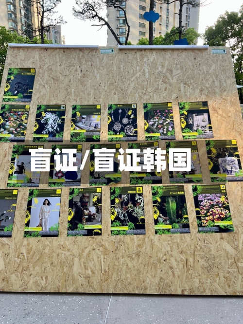 盲证/盲证韩国-第1张图片