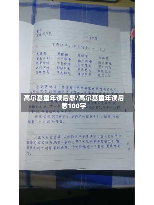 高尔基童年读后感/高尔基童年读后感100字-第1张图片