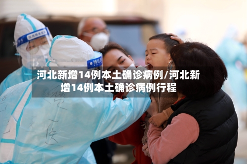 河北新增14例本土确诊病例/河北新增14例本土确诊病例行程-第1张图片