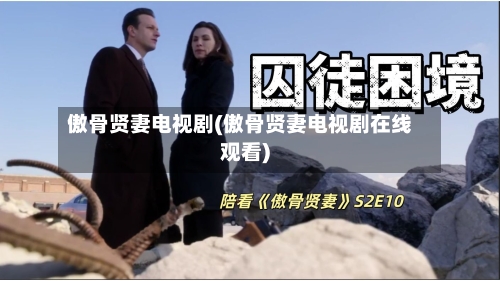 傲骨贤妻电视剧(傲骨贤妻电视剧在线观看)-第1张图片