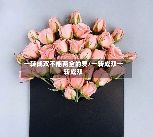 一转成双不能两全的爱/一转成双一转成双-第1张图片