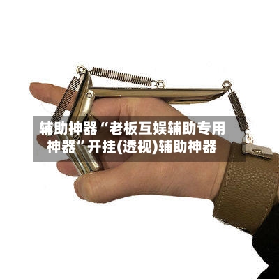 辅助神器“老板互娱辅助专用神器”开挂(透视)辅助神器-第1张图片