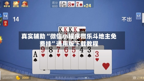 真实辅助“微信小程序微乐斗地主免费挂”通用版下载教程-第1张图片