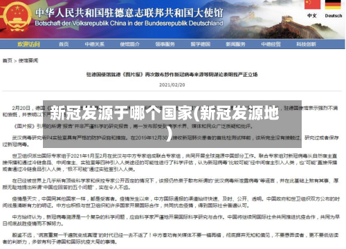 新冠发源于哪个国家(新冠发源地)-第1张图片