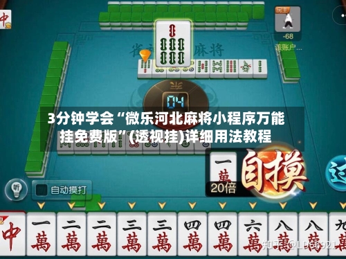 3分钟学会“微乐河北麻将小程序万能挂免费版”(透视挂)详细用法教程-第1张图片
