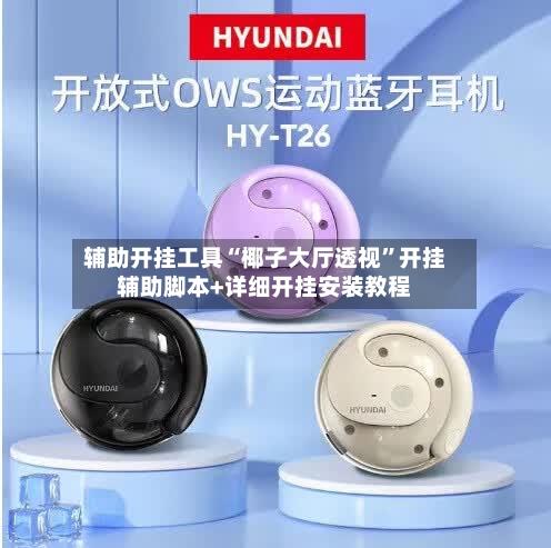 辅助开挂工具“椰子大厅透视”开挂辅助脚本+详细开挂安装教程-第1张图片