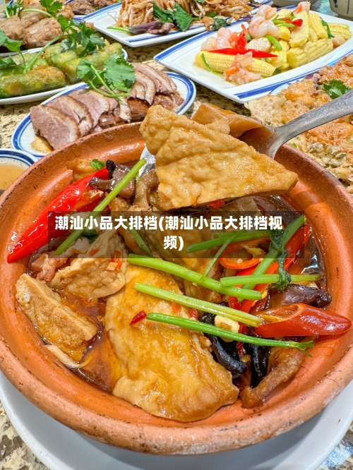 潮汕小品大排档(潮汕小品大排档视频)-第1张图片