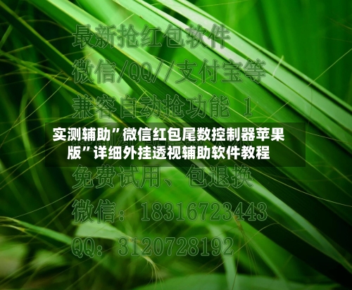 实测辅助”微信红包尾数控制器苹果版”详细外挂透视辅助软件教程-第1张图片