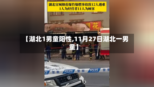 【湖北1男童阳性,11月27日湖北一男童】-第1张图片