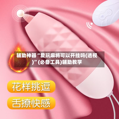 辅助神器“爱玩麻将可以开挂吗(透视)”(必备工具)辅助教学-第1张图片